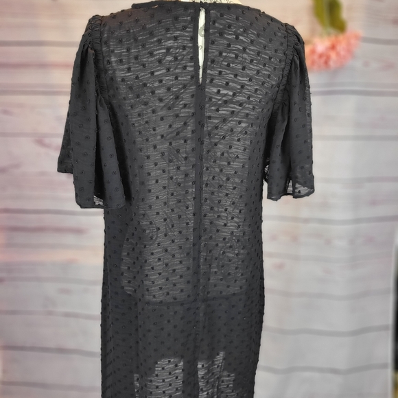 Polka Dot Sheer Embroidered Mini Dress - Picture 2 of 4